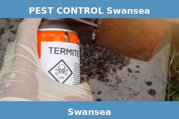 PEST CONTROL Swansea